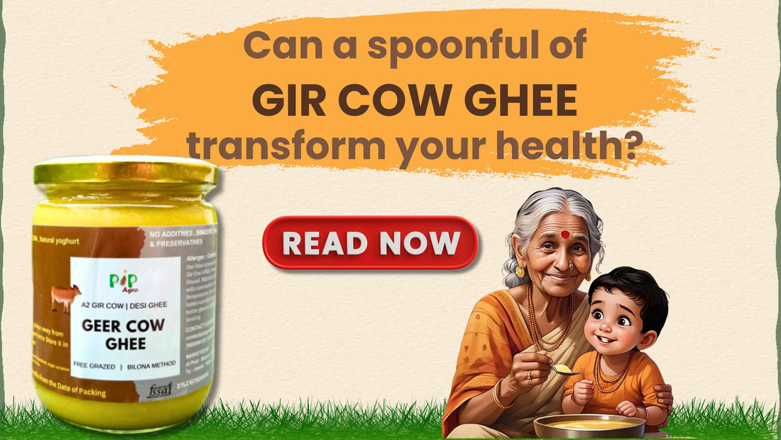 The Health Benefits of A2 Ghee: Why It's the Perfect Addition to Your Diet