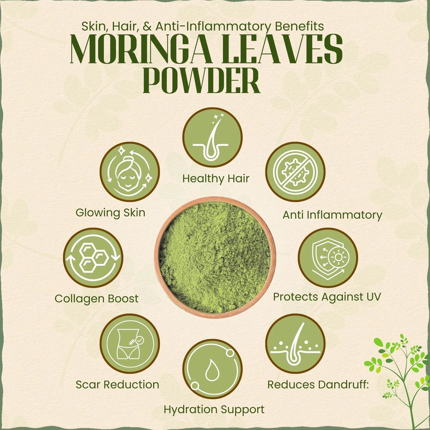 Moringa Leaves Powder 100 gm | Drumstick Leaf Powder | मोरिंगा पावडर