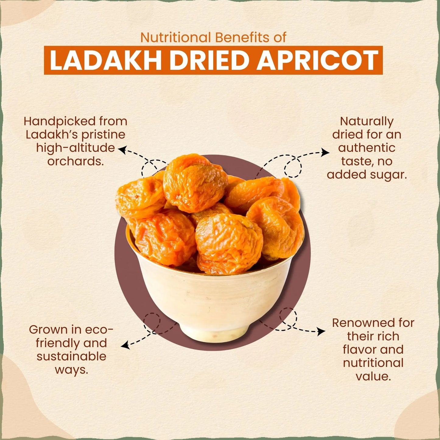 Ladakh Dried Apricot | एप्रीकॉट