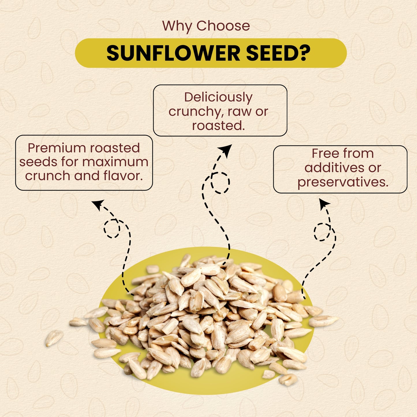 Sunflower Seed 100g | High in Vitamin, Fibre & Protein Seeds | सूर्यफूल बी