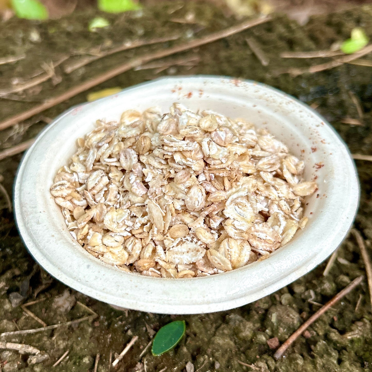 Barley Flakes | बार्ली फ्लेक्स