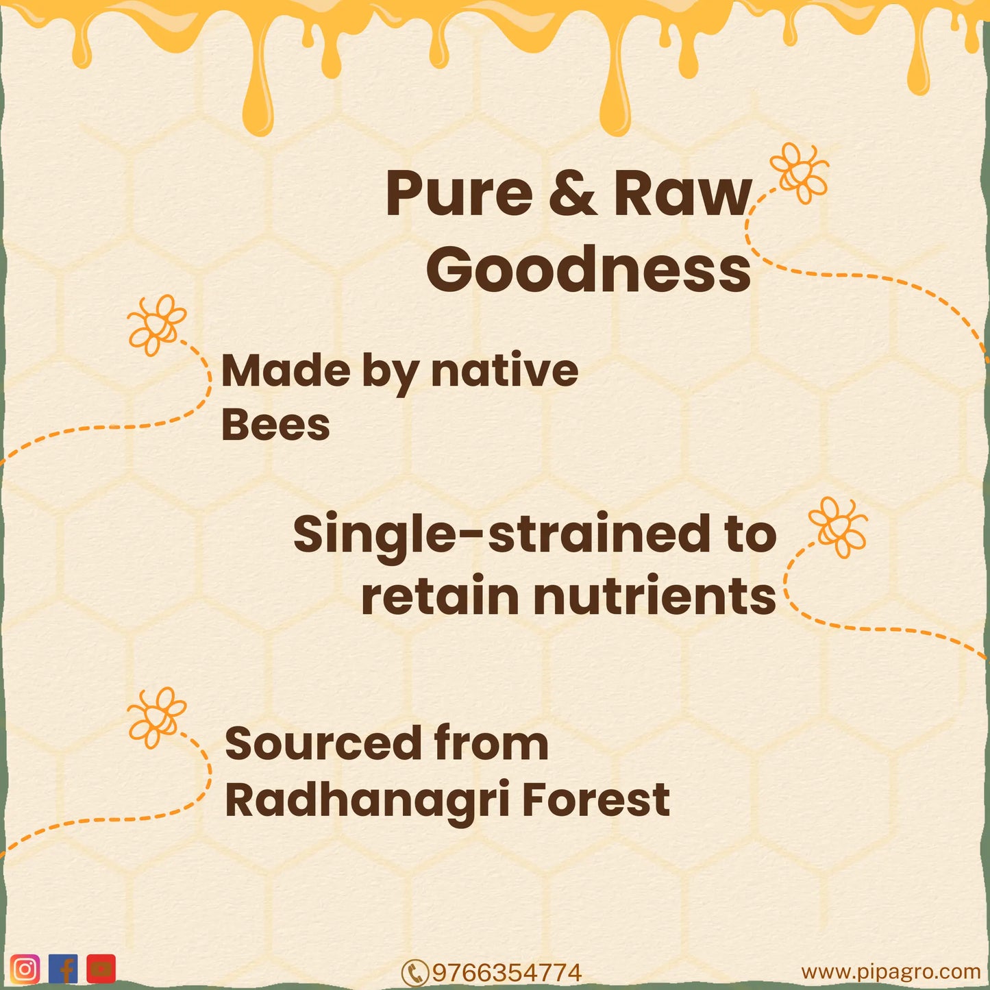 Forest Honey I Multifloral | मध