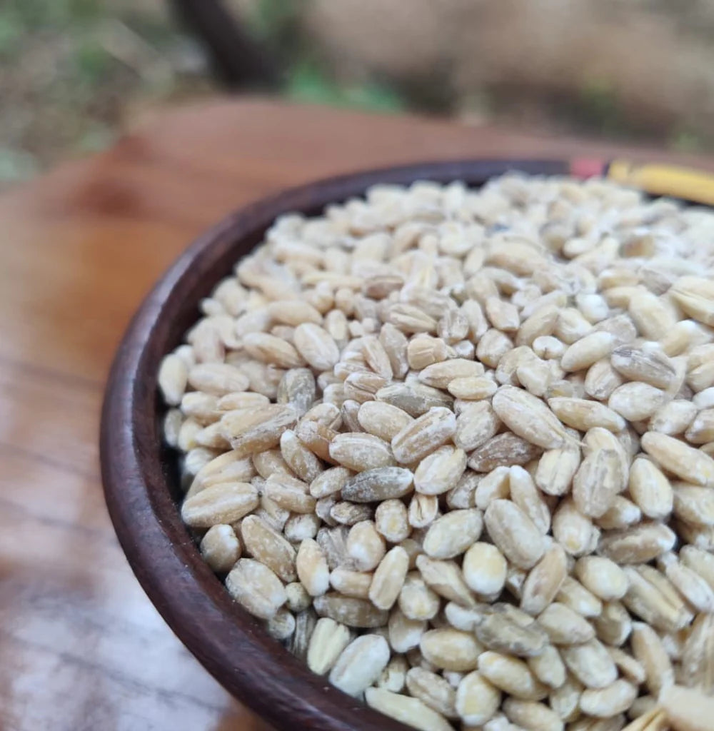 Pearl Barley flour / जव पीठ 500g | बार्ली पिठ