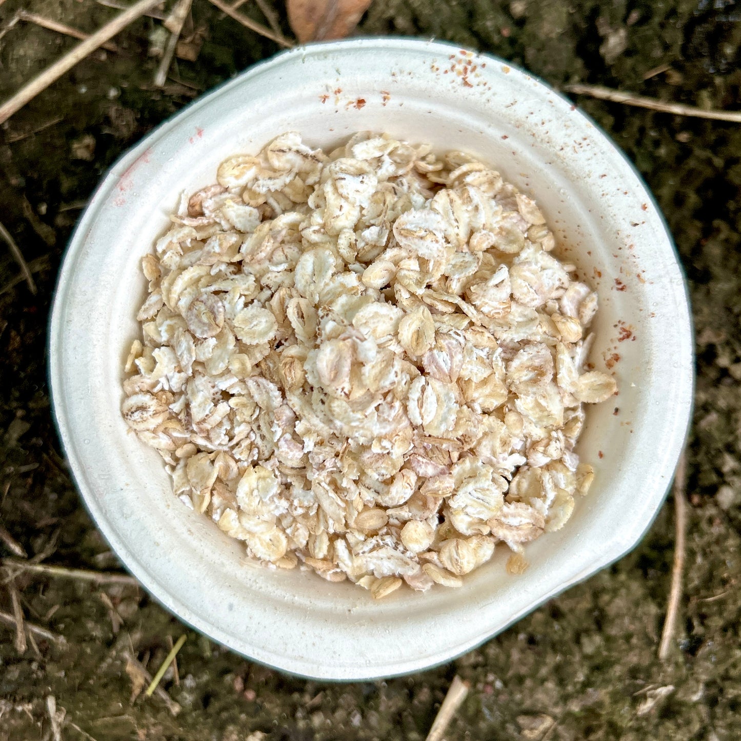 Barley Flakes | बार्ली फ्लेक्स