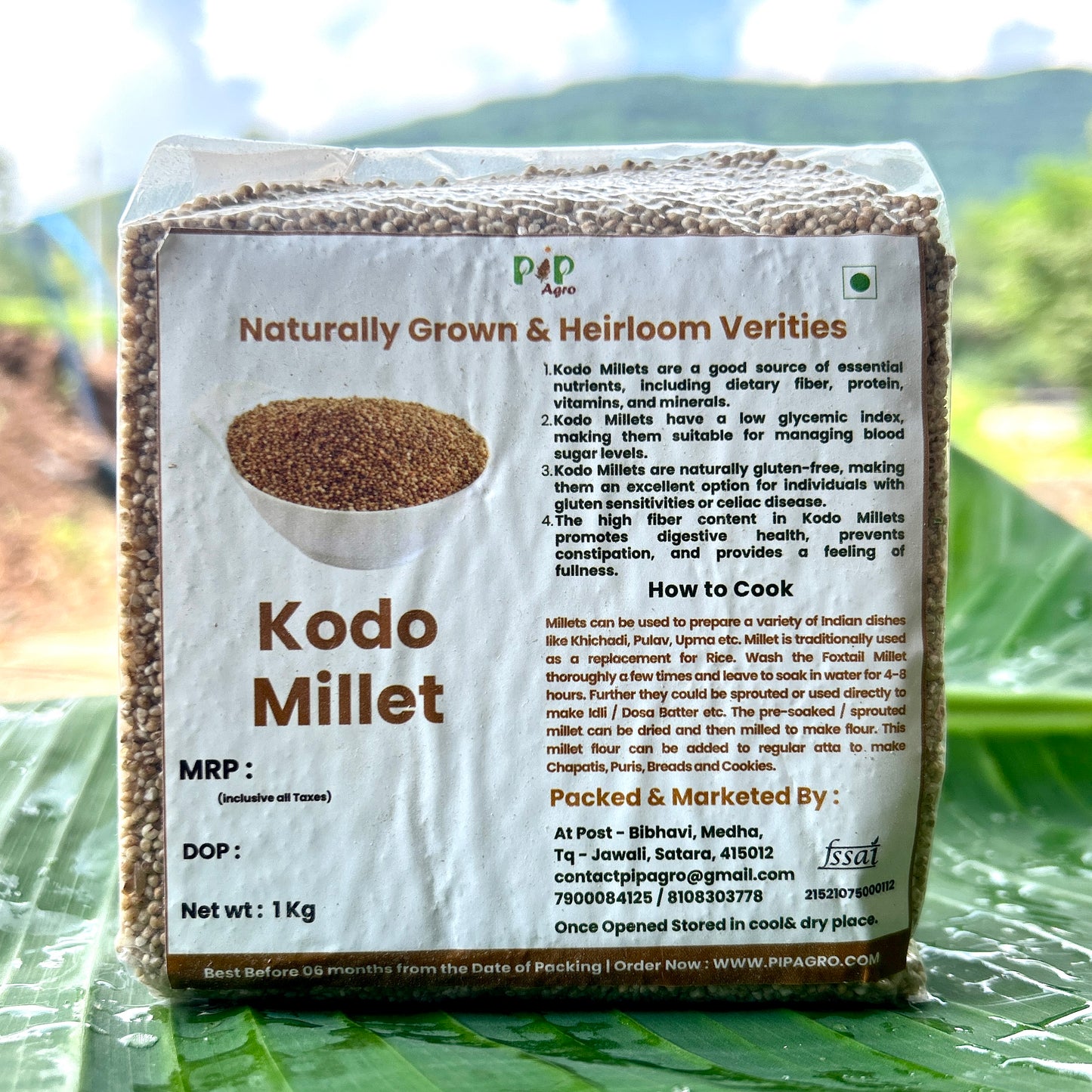 Kodo Millet | कोद्रा | हरीक | कोडो मिलेट