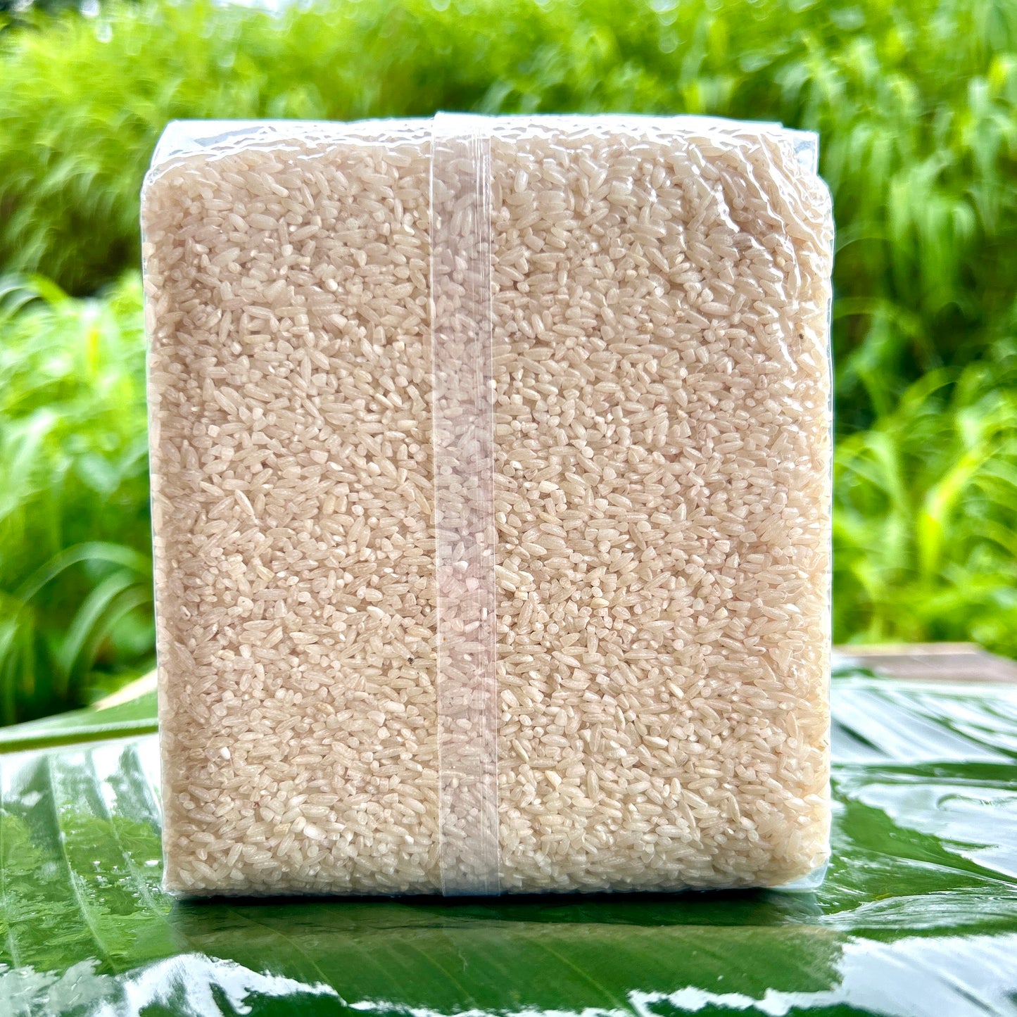Rani Athani Rice / Royal 98 Rice (Semi Polished) / रॉयल ९८ | राणी अठानी