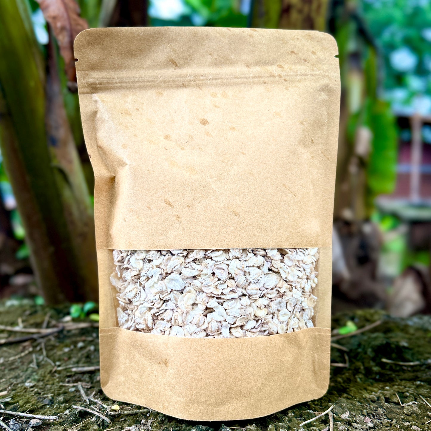 Barley Flakes | बार्ली फ्लेक्स