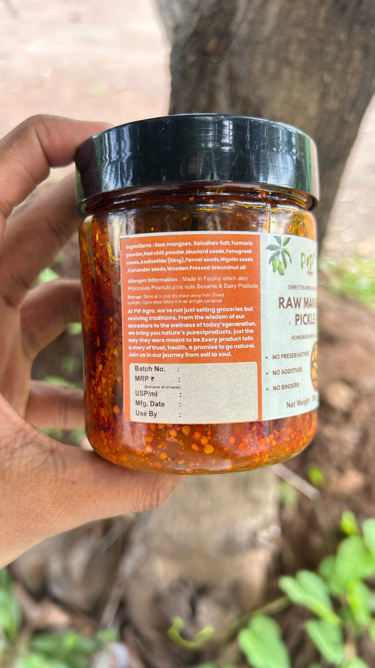 Raw Mango Pickle 300 gm | जगात भारी केरी लोणचे