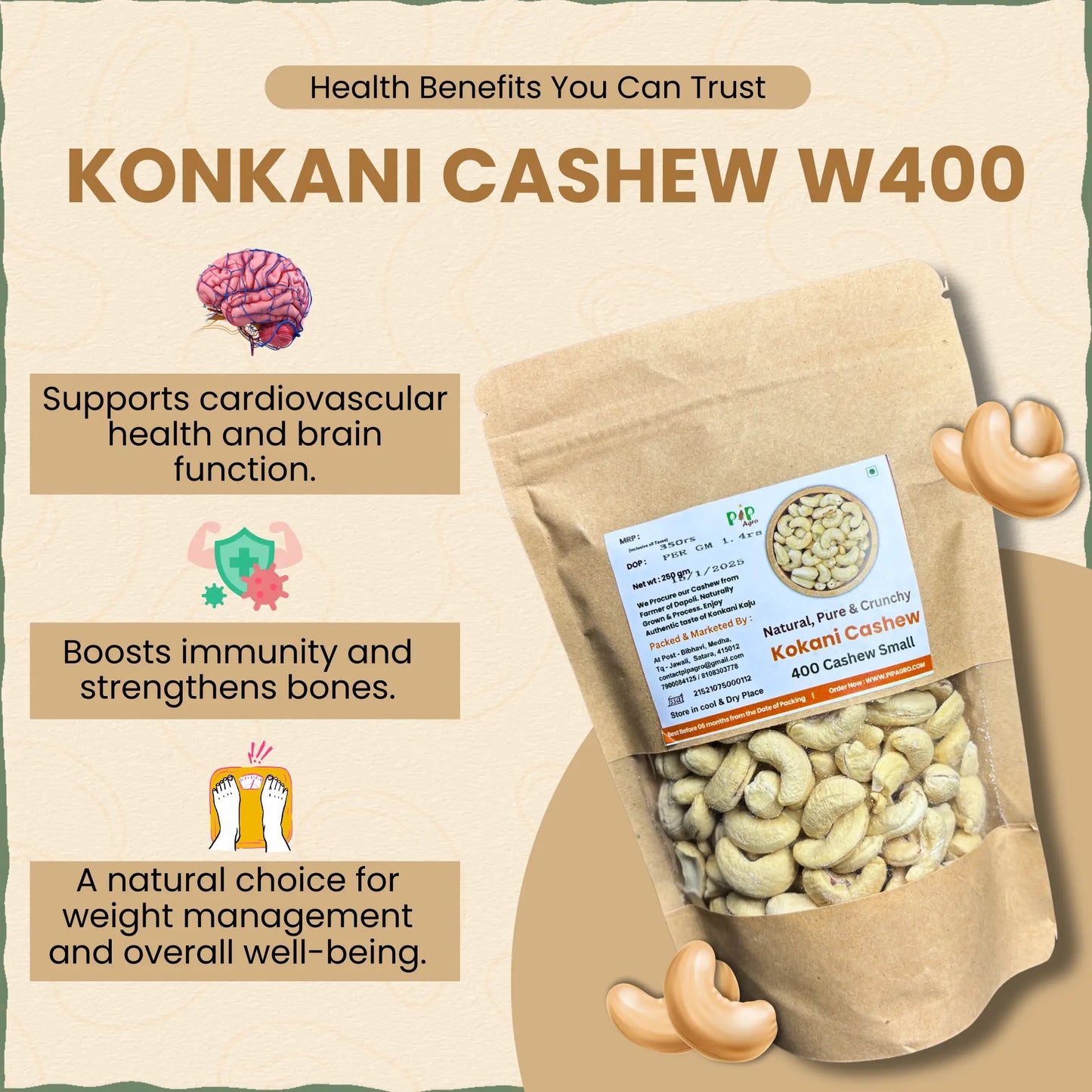 Konkani Cashew | Konkani Kaju | Small-W400 | काजू 400