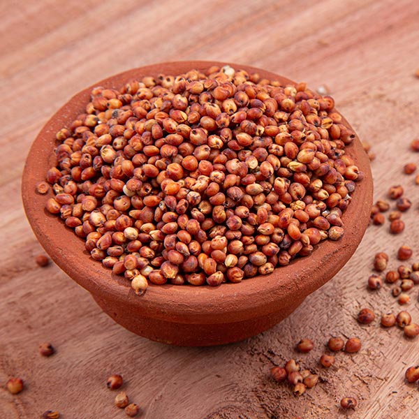Red Jowar | लाल ज्वारी