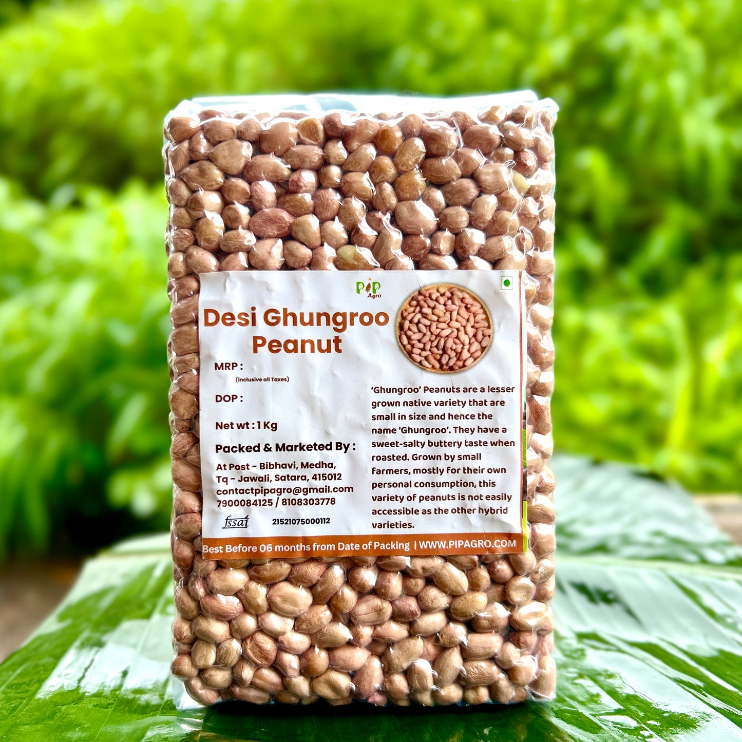 Desi Ghungroo Groundnut | Raw Peanuts - Ghungroo | घुंगरू शेंगदाणे