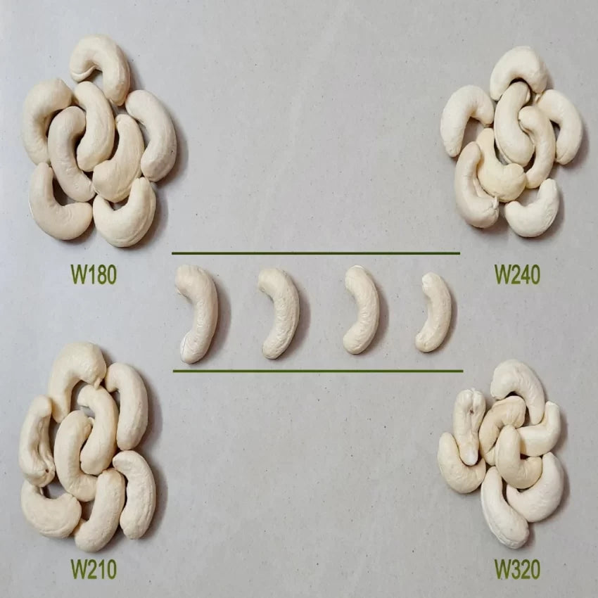 Konkani Cashew | Konkani Kaju | Medium-W240 | काजू 240