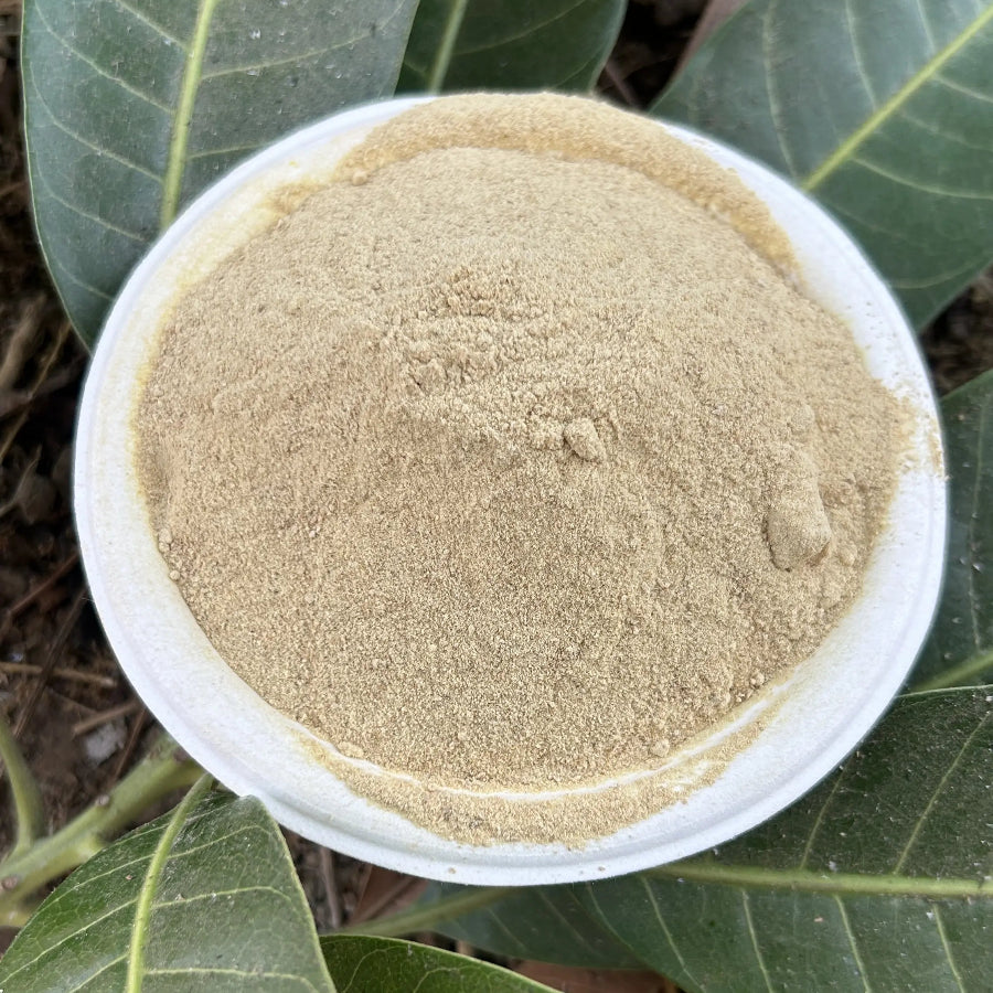 Bhat Kaka's Nisargmitra Ambehalad Powder | भट काकांच्या शेतातील आंबेहळद पावडर