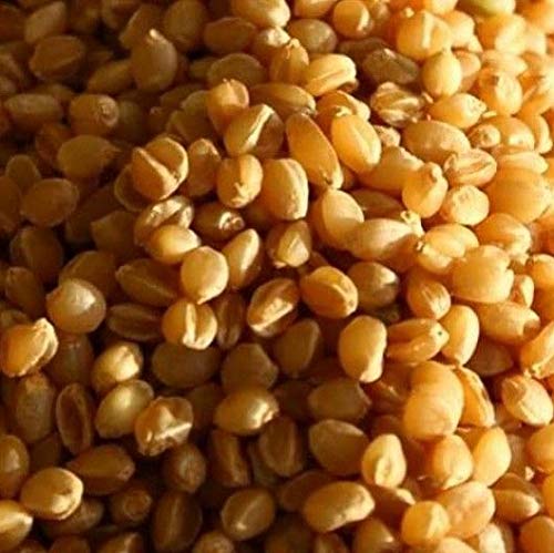 Sona Moti Wheat Flour - Heirloom Verity | सोना मोती गहु पिठ