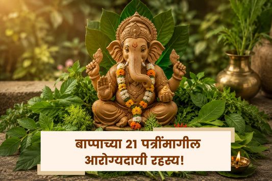 बाप्पाच्या २१ पत्रींमागील आरोग्यदायी रहस्य!