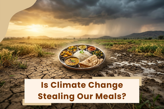 World Water Day: Is Climate Change Stealing Our Meals?
