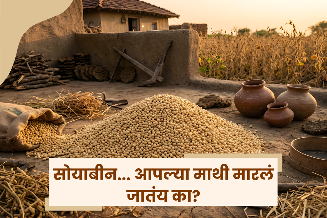 सोयाबीन... आपल्या माथी मारलं जातंय का?
