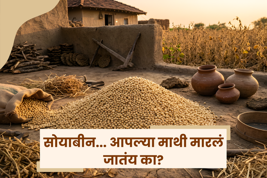 सोयाबीन... आपल्या माथी मारलं जातंय का?