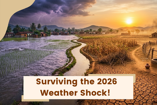 Surviving the 2026 Weather Shock!