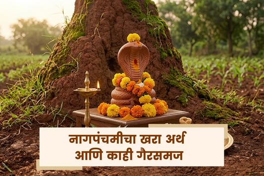 नागपंचमीचा खरा अर्थ आणि काही गैरसमज
