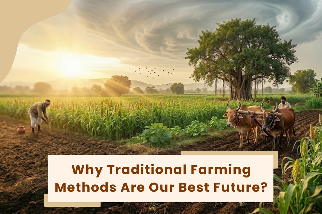 Why Traditional Farming Methods Are Our Best Future?