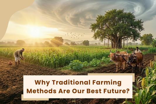 Why Traditional Farming Methods Are Our Best Future?