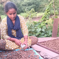 Lobon Dhoop - 15 Sticks | Tulja Goshala | लोबोन धूप