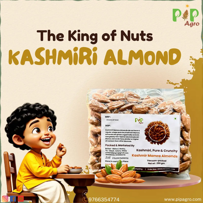 Kashmiri Plain mamra Giri Badam / Almond | प्लेन मामरा बदाम