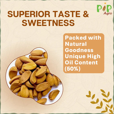 Kashmiri Plain mamra Giri Badam / Almond | प्लेन मामरा बदाम