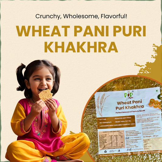 Wheat Pani Puri Khakhra 200gm | NO Palm Oil | गहू पानी पुरी खाखरा