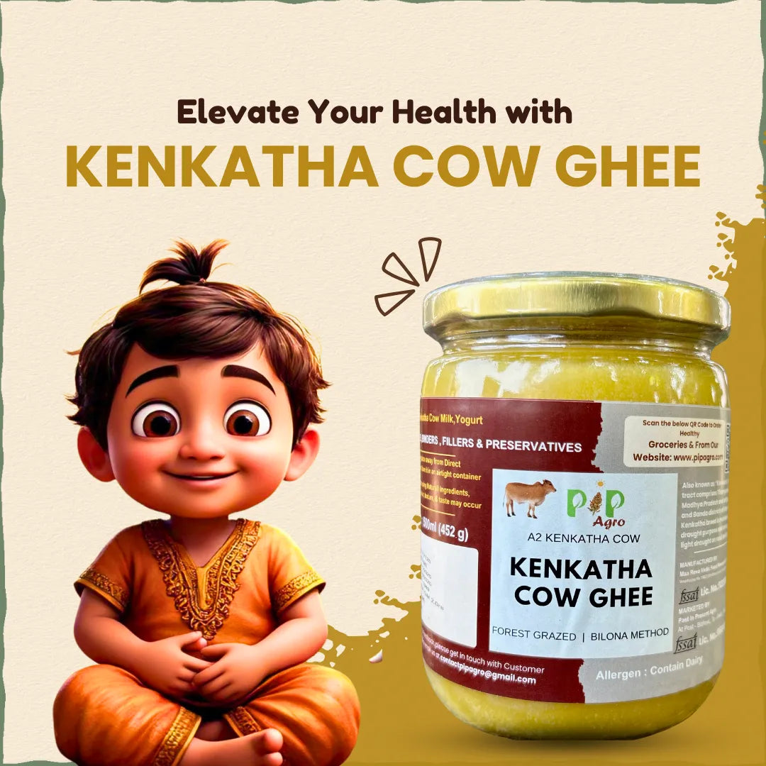 Desi Kenkatha Cow | Kenkatha Cow Bilona A2 Ghee | केनकथा गाईचे तूप