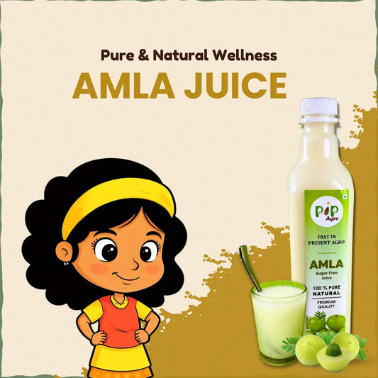 Amla / Gooseberry Premium Sugar Free Juice 500 ml | आवळा ज्युस