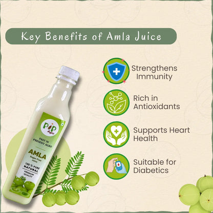 Amla / Gooseberry Premium Sugar Free Juice 500 ml | आवळा ज्युस