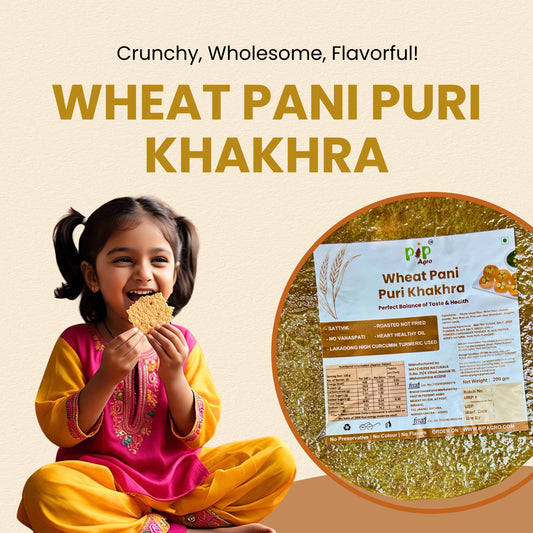 Wheat Pani Puri Khakhra 200g | NO Palm Oil | गहू पानी पुरी खाखरा