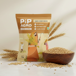 Khapli Wheat Grains (Emmer Wheat Grain) | खपली गहु