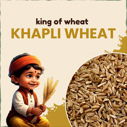 Khapli Wheat Grains (Emmer Wheat Grain) | खपली गहु