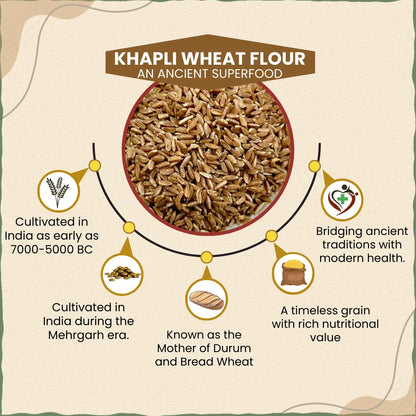 Khapli Wheat Grains (Emmer Wheat Grain) | खपली गहु