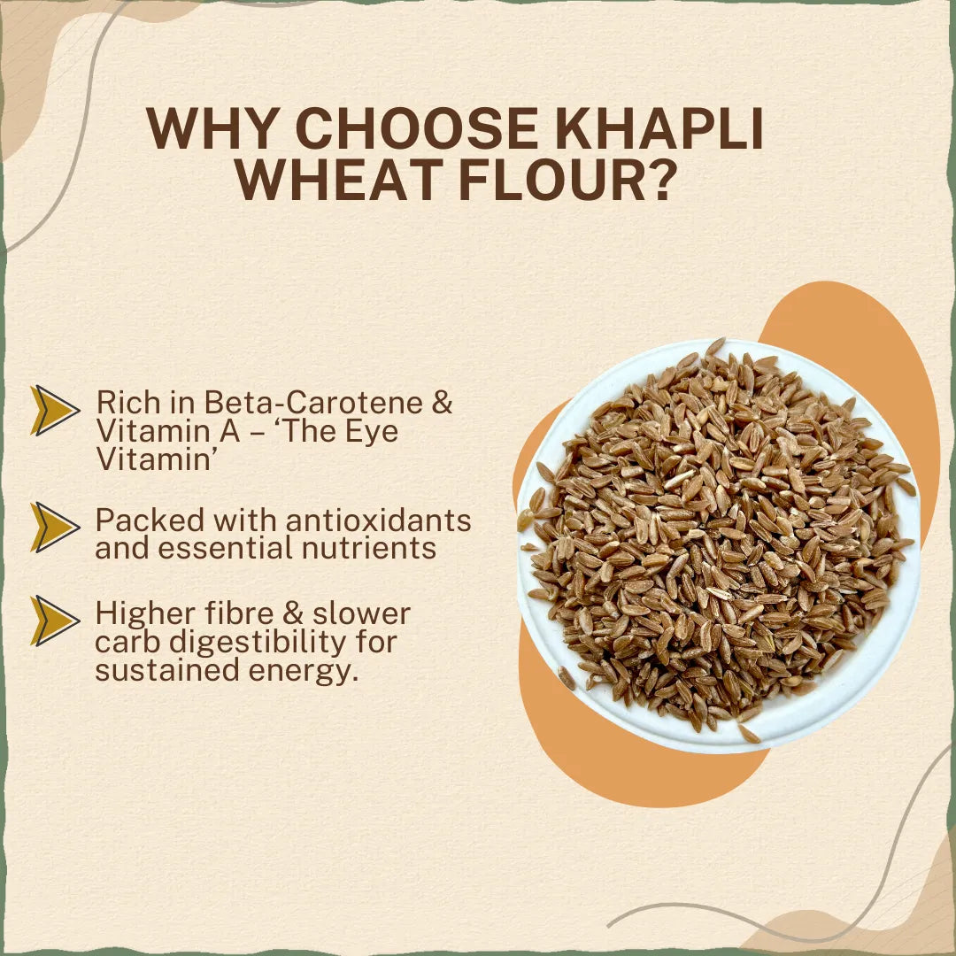 Khapli Wheat Grains (Emmer Wheat Grain) | खपली गहु