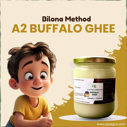 A2 Buffalo Ghee | Bilona Method | म्हैशीचे तूप