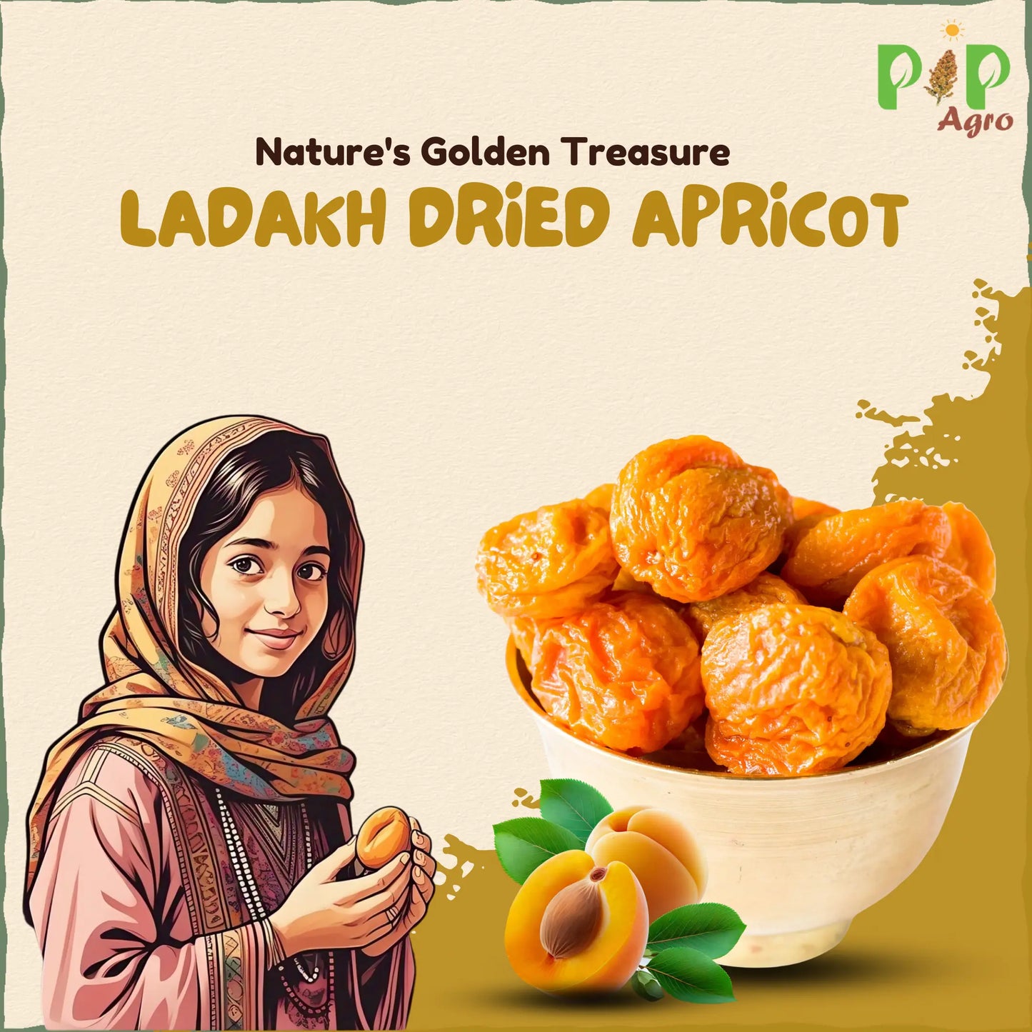 Ladakh Dried Apricot | एप्रीकॉट