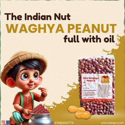 Desi Waghya Peanut / Groundnut | वाघ्या शेंगदाणे