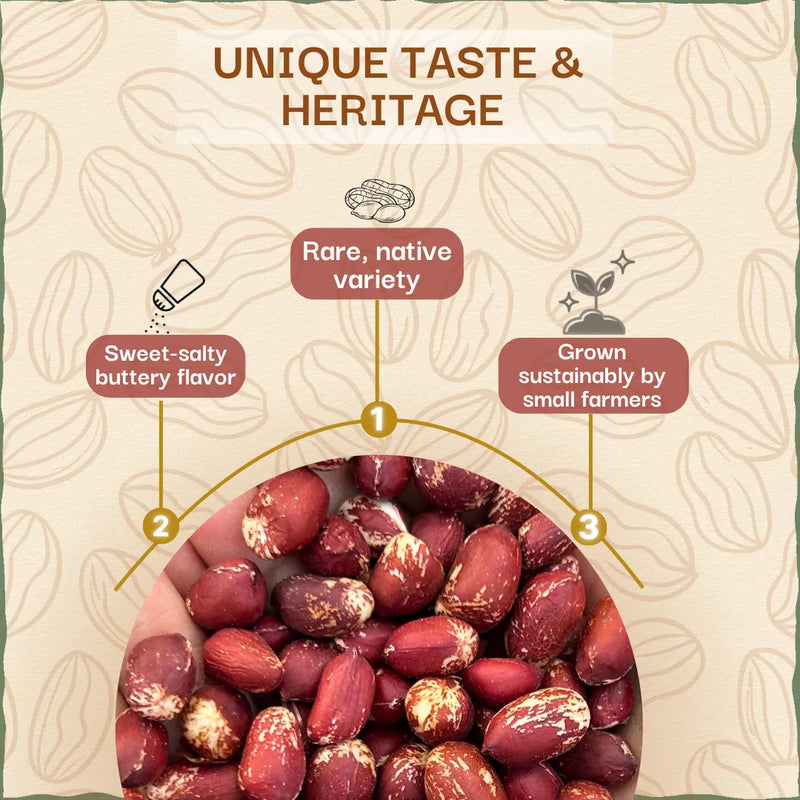 Desi Waghya Peanut / Groundnut | वाघ्या शेंगदाणे