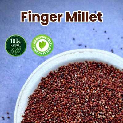 Finger Millet / Nachani / Ragi | लाल नाचणी