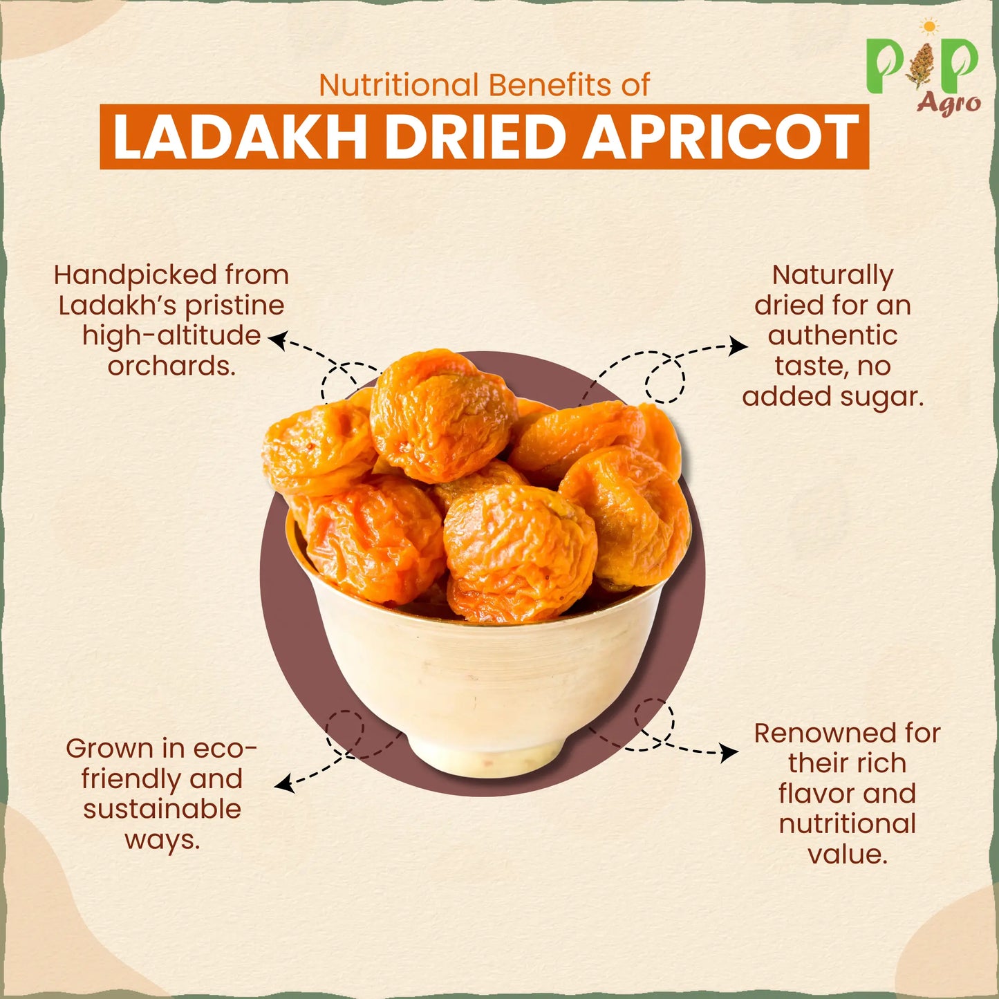 Ladakh Dried Apricot | एप्रीकॉट