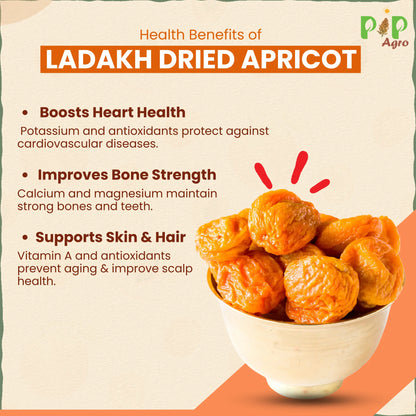 Ladakh Dried Apricot | एप्रीकॉट