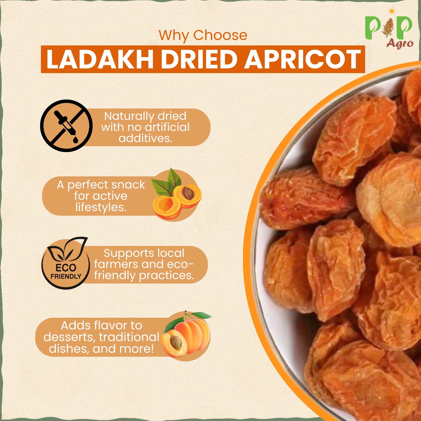 Ladakh Dried Apricot | एप्रीकॉट