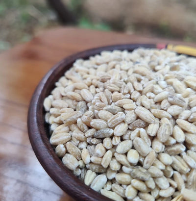 Pearl Barley | जव | बार्ली