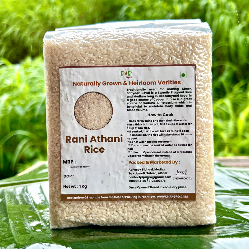 Rani Athani Rice / Royal 98 Rice (Semi Polished) / रॉयल ९८ | राणी अठानी