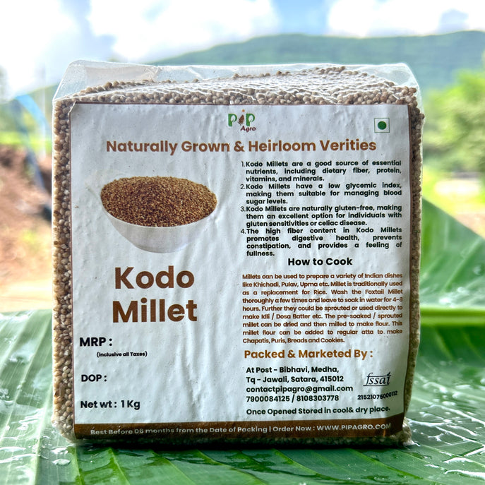 Unpolished Kodo Millet | कोद्रा | हरीक | कोडो मिलेट