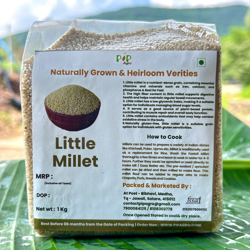 Unpolished Little Millet | कुटकी | वरई | लिटल मिलेट